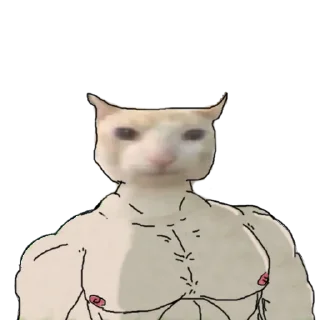 💪