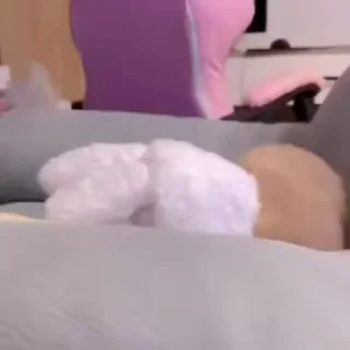 🐰