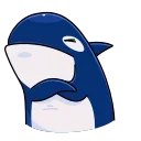 🦈