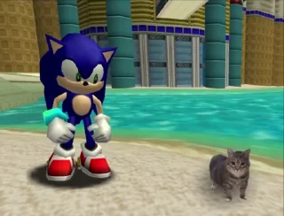 🐈