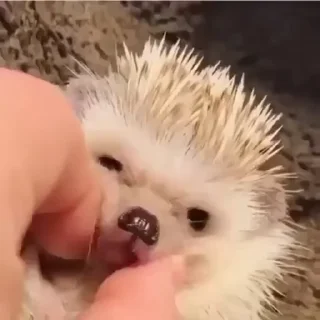 ☺