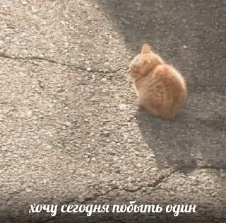 😪