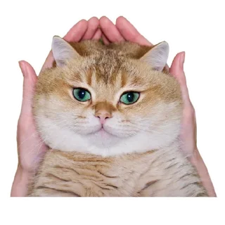 😏