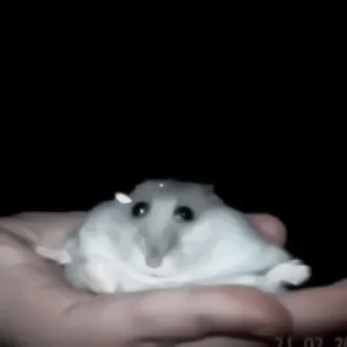 🥴