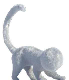 🐈