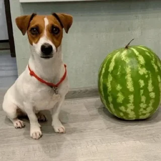 🙂