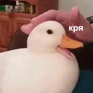 🦆