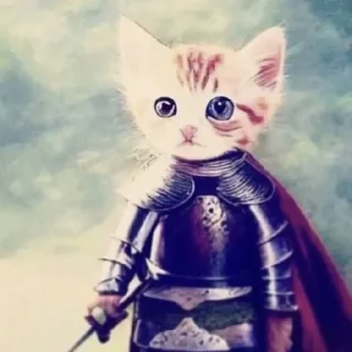 😼