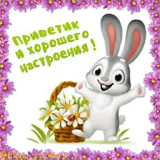 🐇