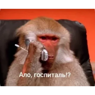 🫤