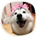 😃
