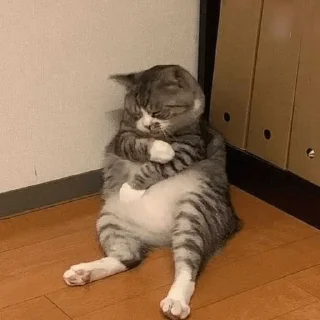 😴