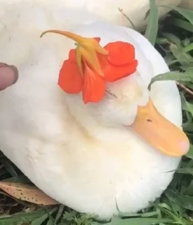 😐