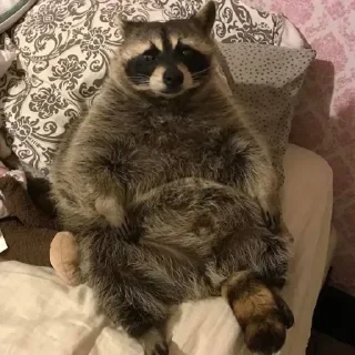 🙂