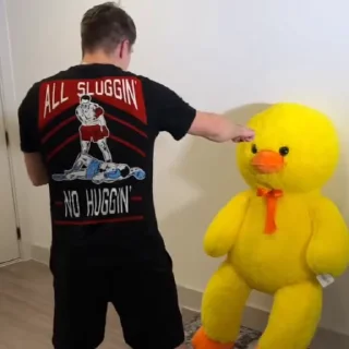 🌟