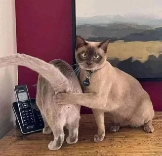 👋