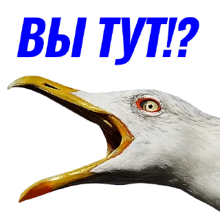 ⁉️