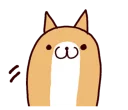 🐶