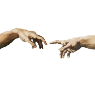 🤚