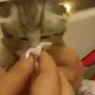 🤧