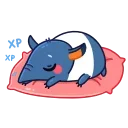 😴