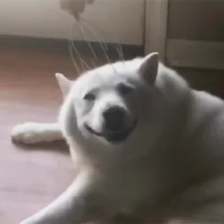 😁