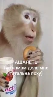 🤩