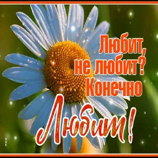 🌼