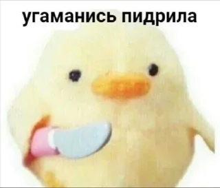 🔪