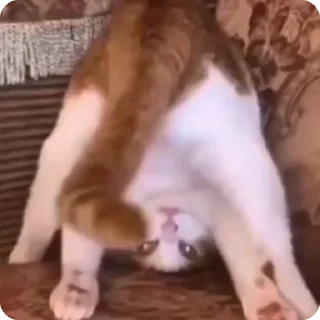 🙃