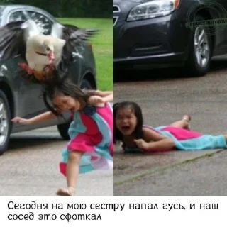 🦆