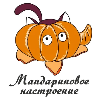 🍊