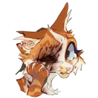 🐱