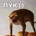 💨
