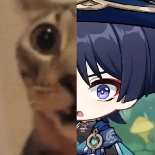 🌟