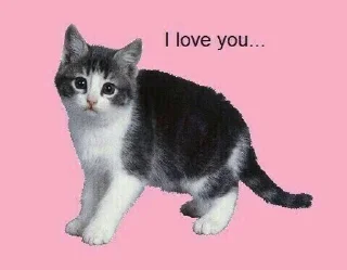 💗