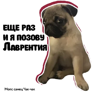 🥺