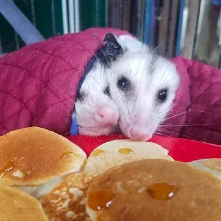 💜