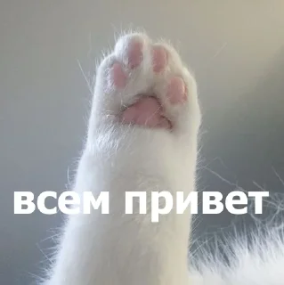 👋