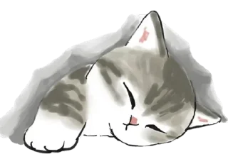 😴