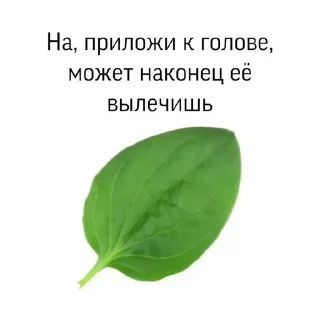 😉