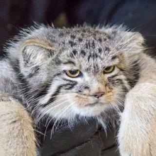 😑