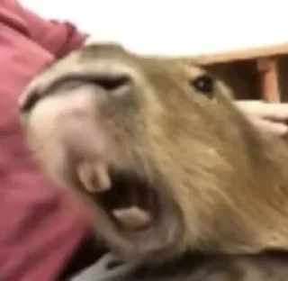 😠