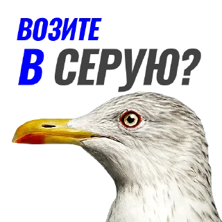 ⬜️