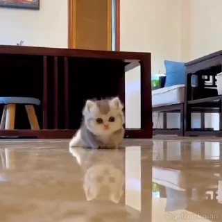 😯