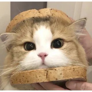 🍞