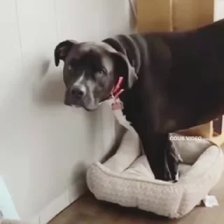 😕