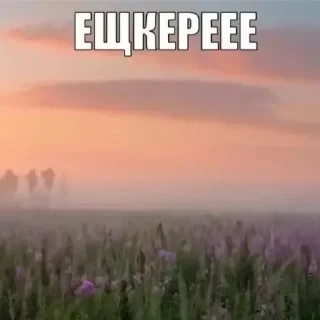 🤟