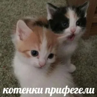 🍙