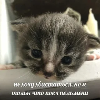 🥳